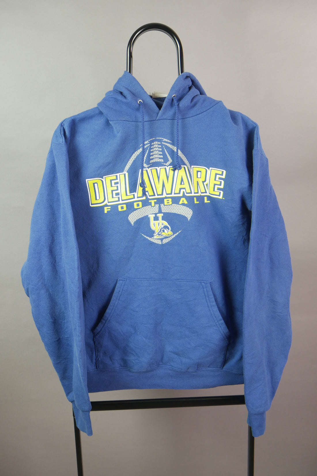 The Champion Delaware Hoodie (L)