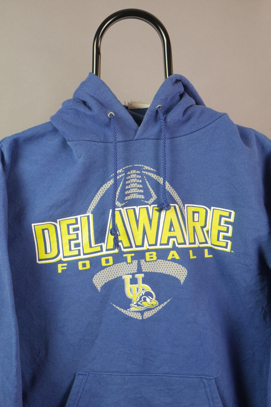 The Champion Delaware Hoodie (L)