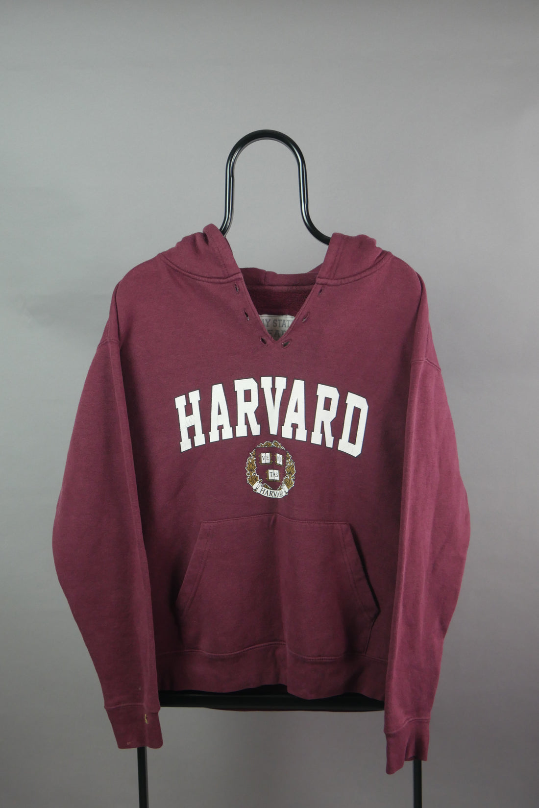 The Vintage Harvard Graphic Hoodie (M)